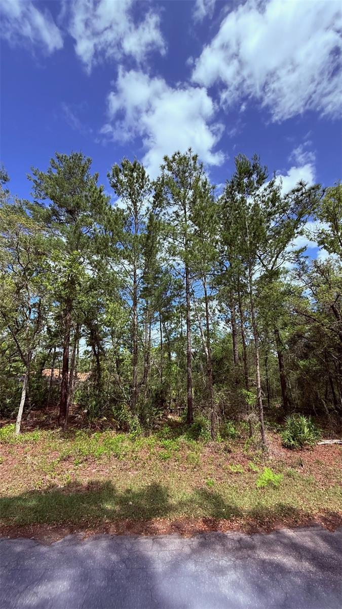 Lot 15 BAY CT, OCKLAWAHA, FL, 32179