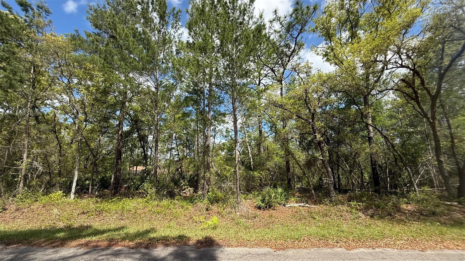 Lot 15 BAY CT, OCKLAWAHA, FL, 32179
