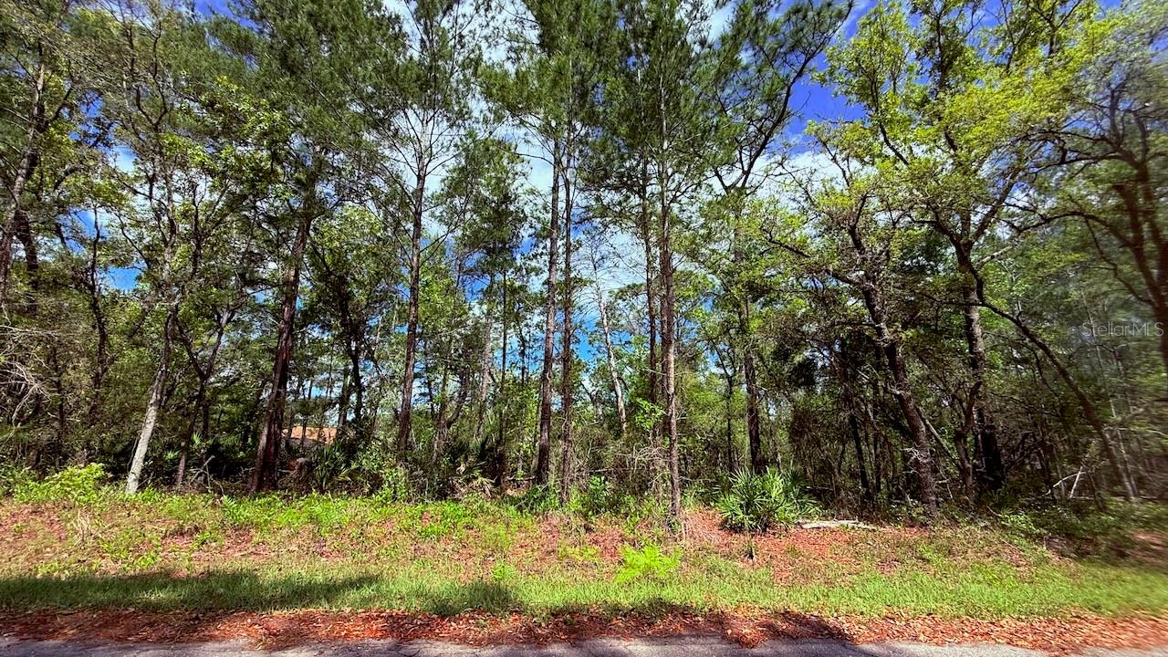 Lot 15 BAY CT, OCKLAWAHA, FL, 32179