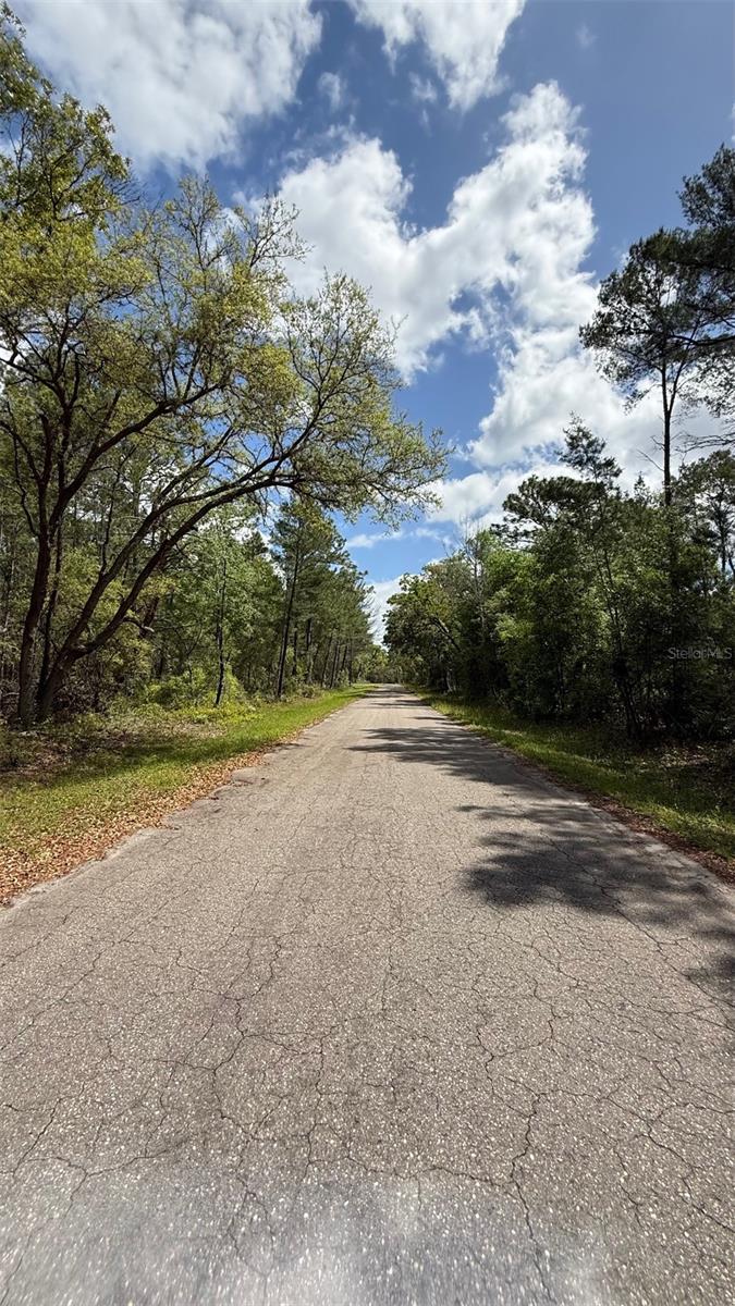 Lot 15 BAY CT, OCKLAWAHA, FL, 32179