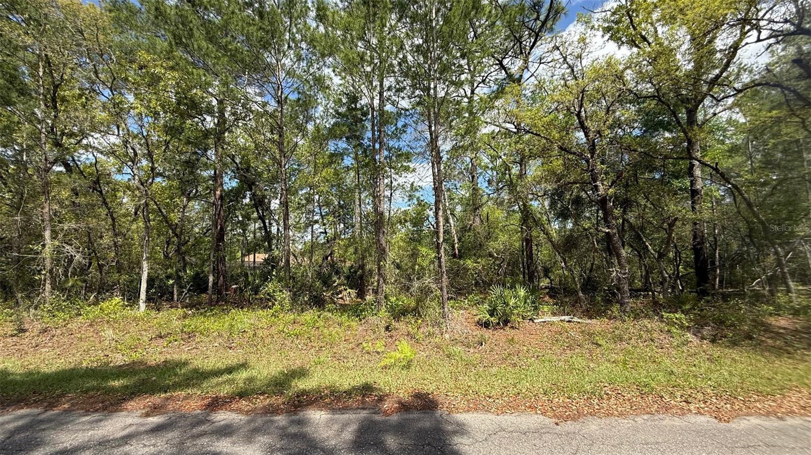 Lot 15 BAY CT, OCKLAWAHA, FL, 32179