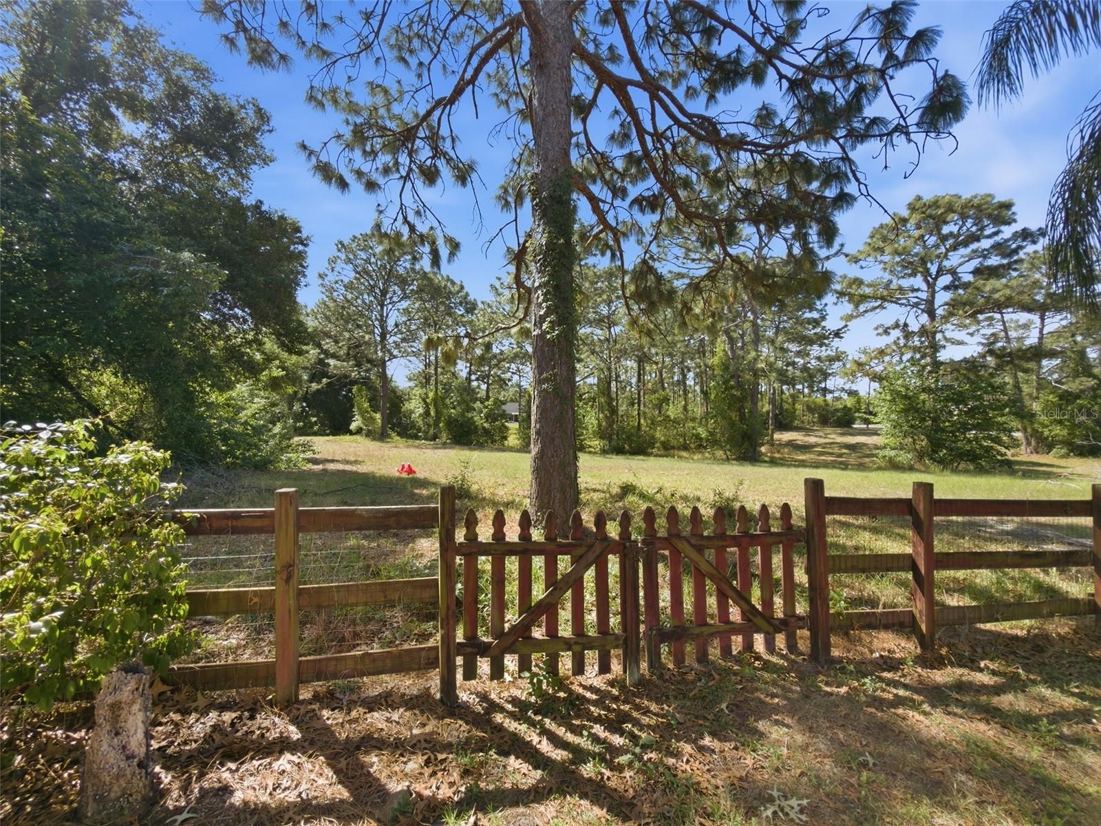 13302 MITTEN LN, SPRING HILL, FL, 34609