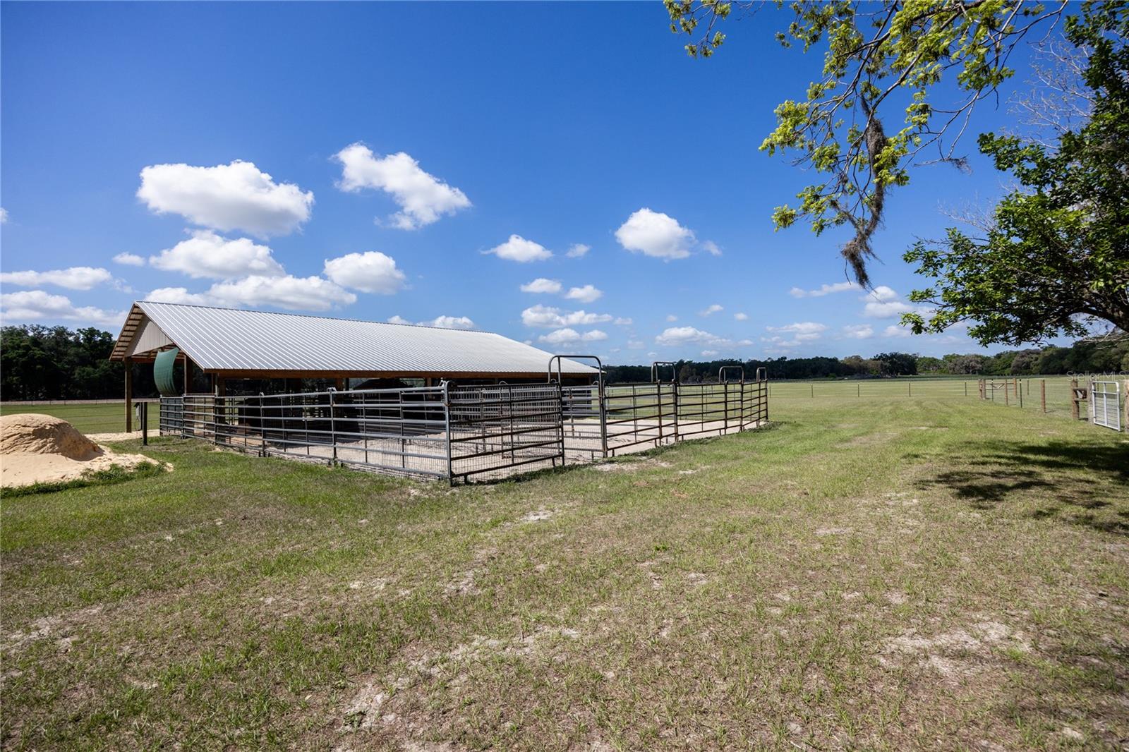 3019 SE 90TH AVE, NEWBERRY, FL, 32669