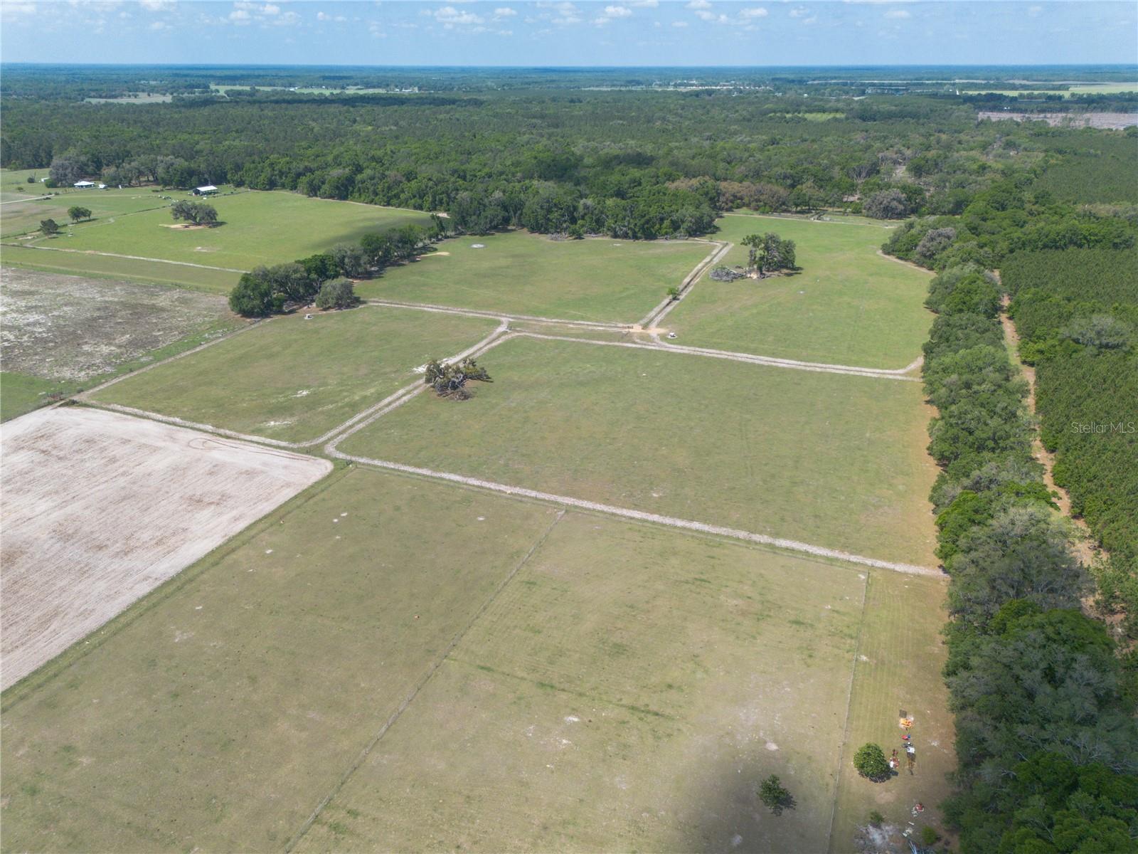 3019 SE 90TH AVE, NEWBERRY, FL, 32669