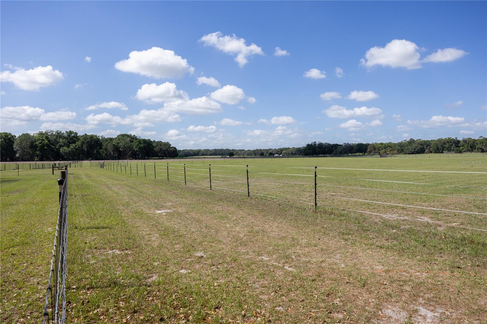 3019 SE 90TH AVE, NEWBERRY, FL, 32669