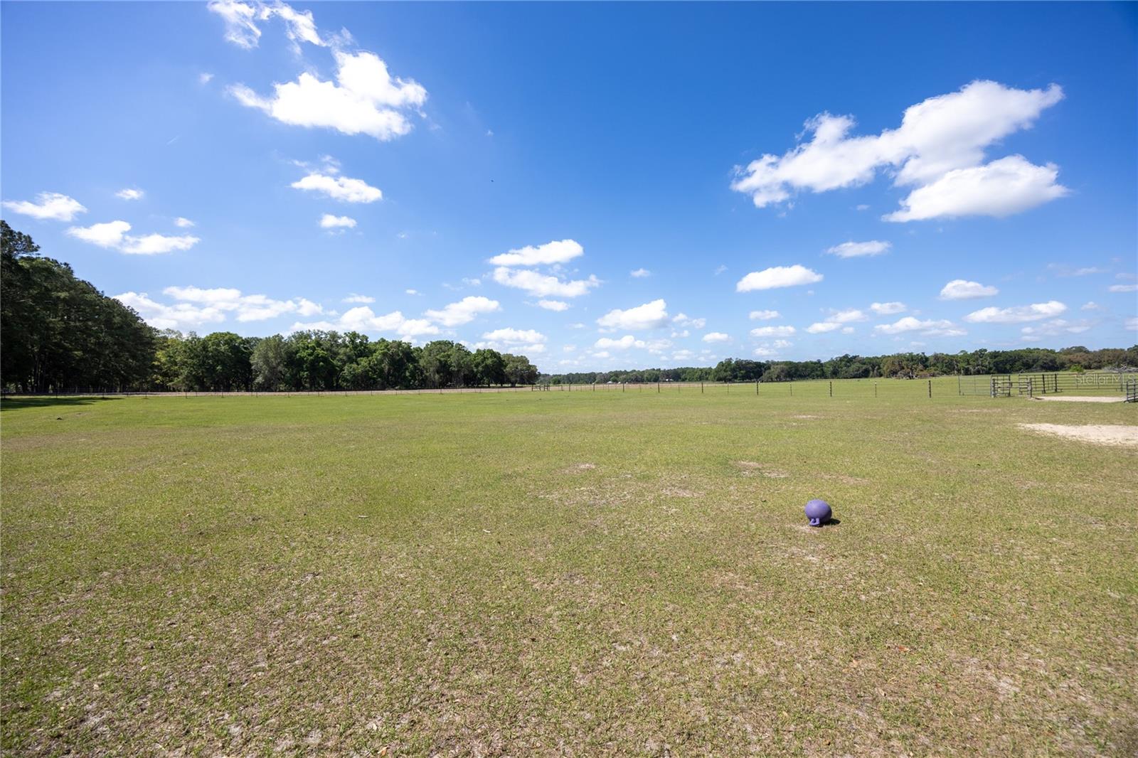 3019 SE 90TH AVE, NEWBERRY, FL, 32669