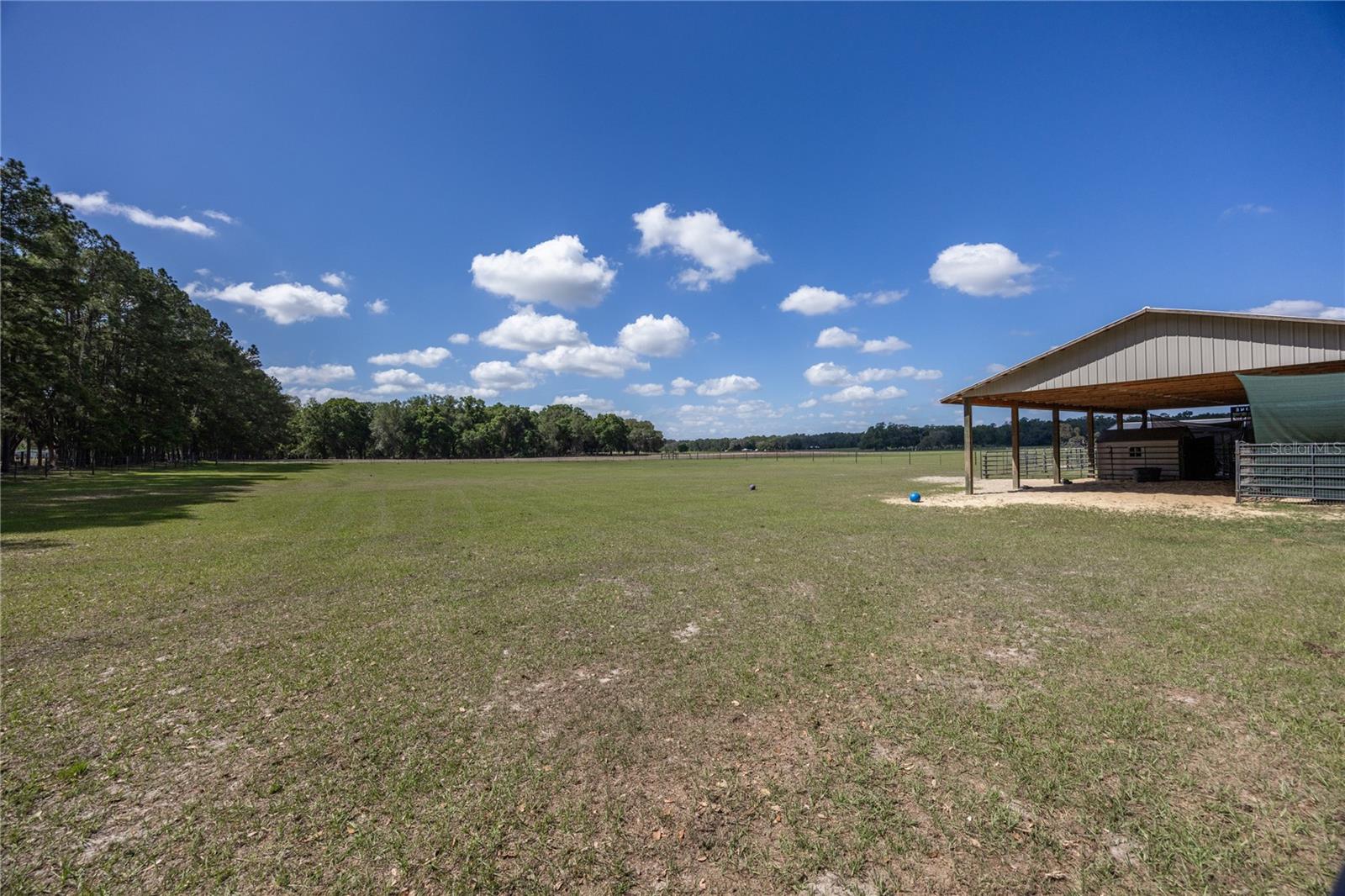 3019 SE 90TH AVE, NEWBERRY, FL, 32669