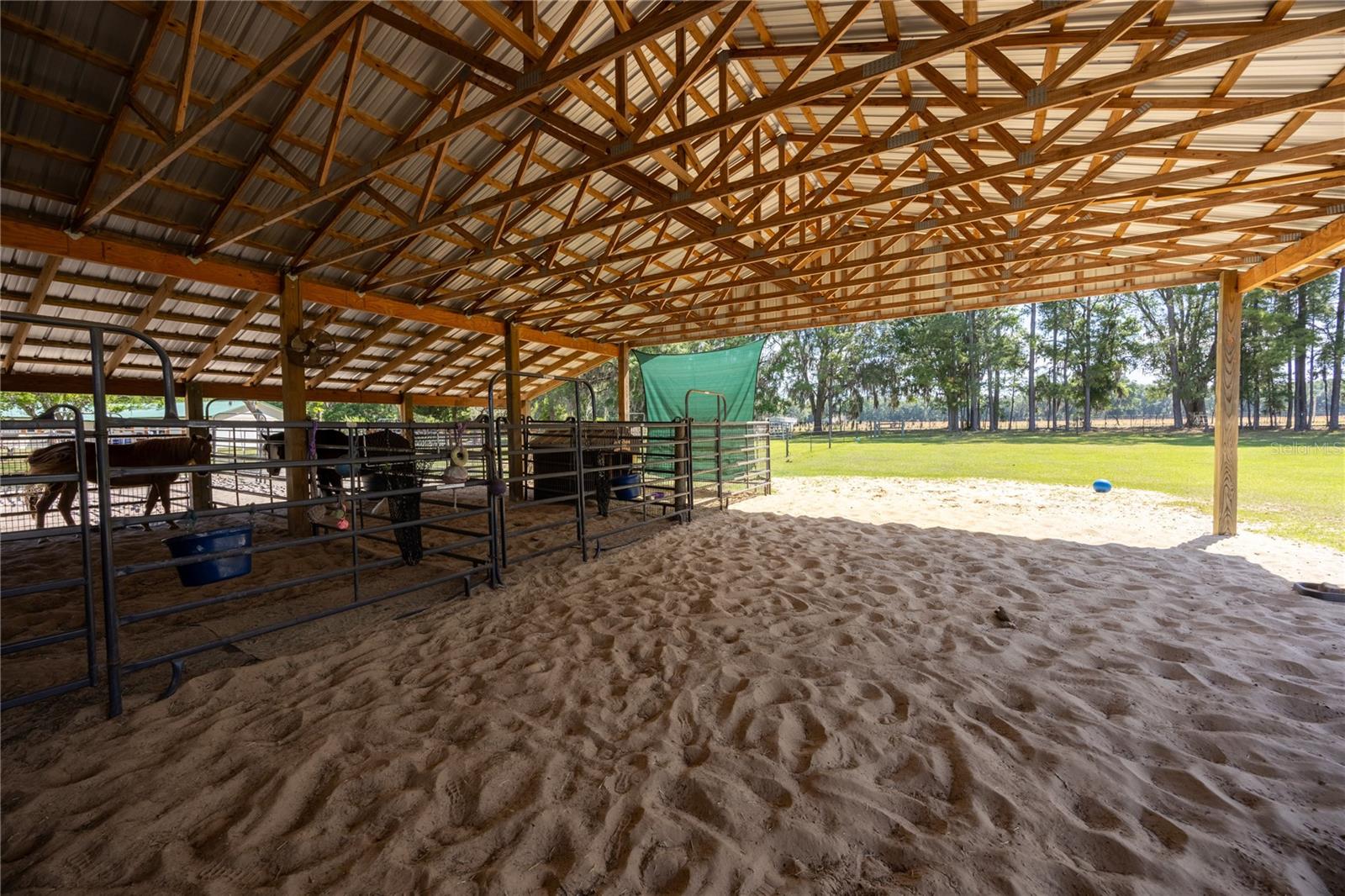 3019 SE 90TH AVE, NEWBERRY, FL, 32669