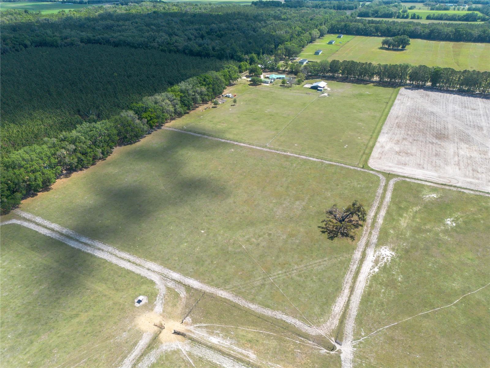 3019 SE 90TH AVE, NEWBERRY, FL, 32669