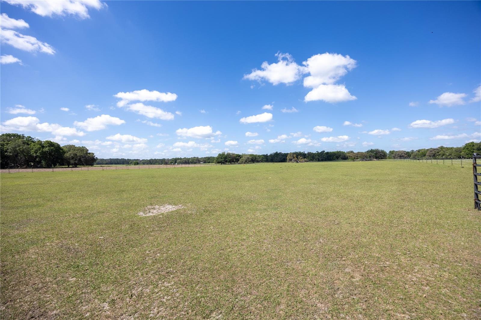 3019 SE 90TH AVE, NEWBERRY, FL, 32669