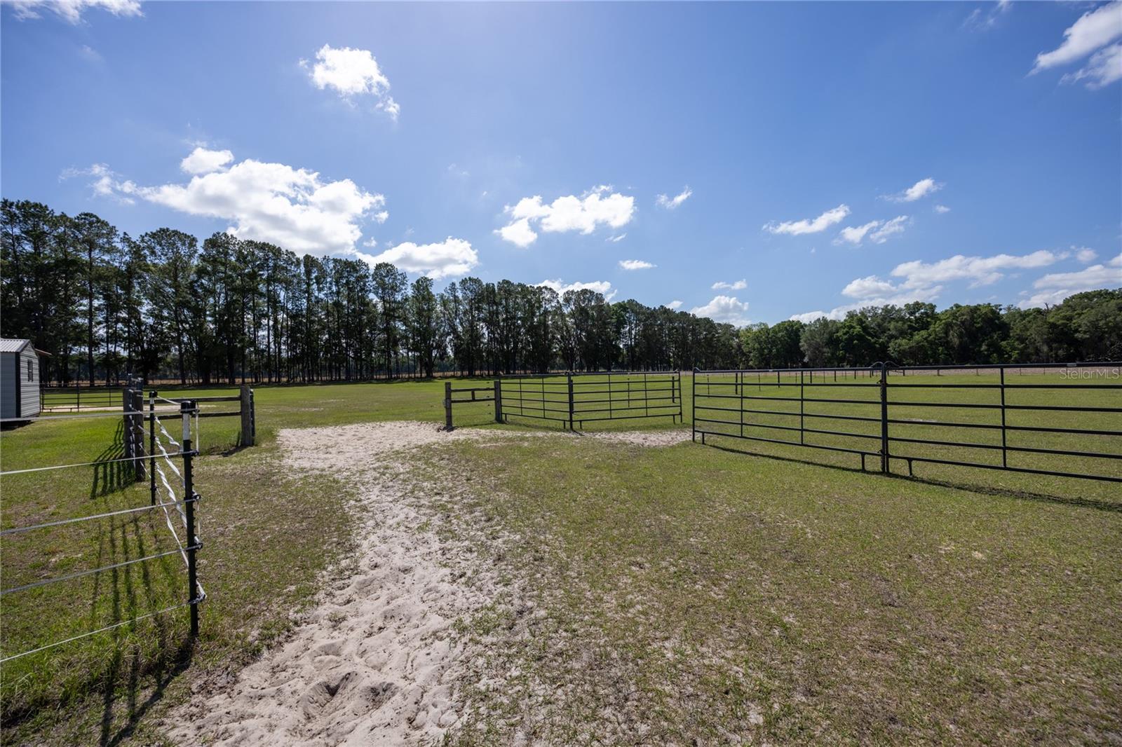 3019 SE 90TH AVE, NEWBERRY, FL, 32669