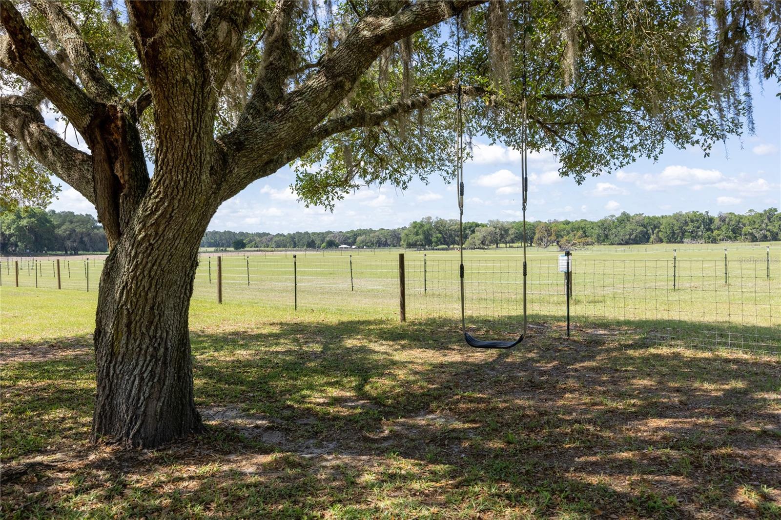 3019 SE 90TH AVE, NEWBERRY, FL, 32669