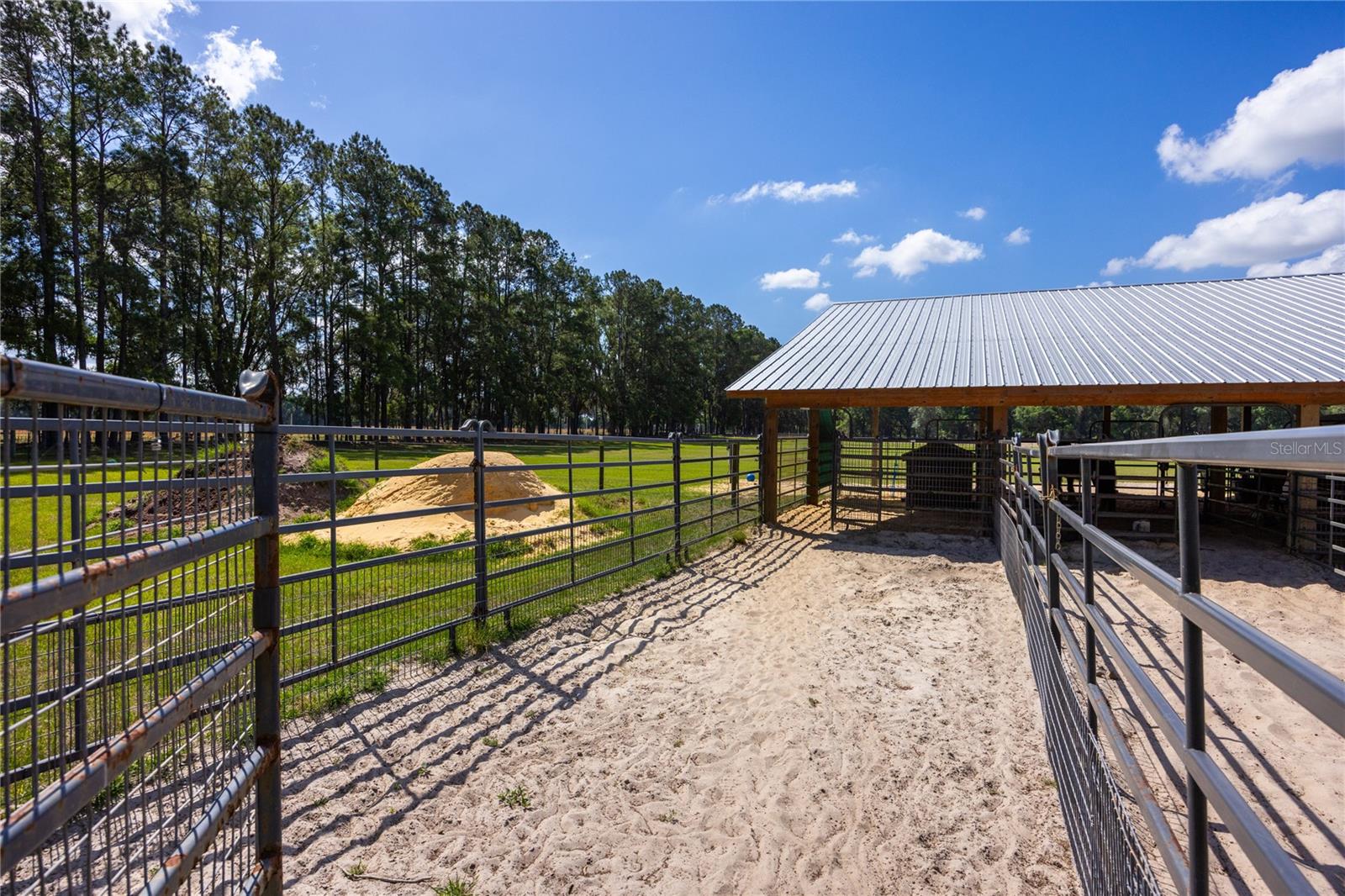 3019 SE 90TH AVE, NEWBERRY, FL, 32669