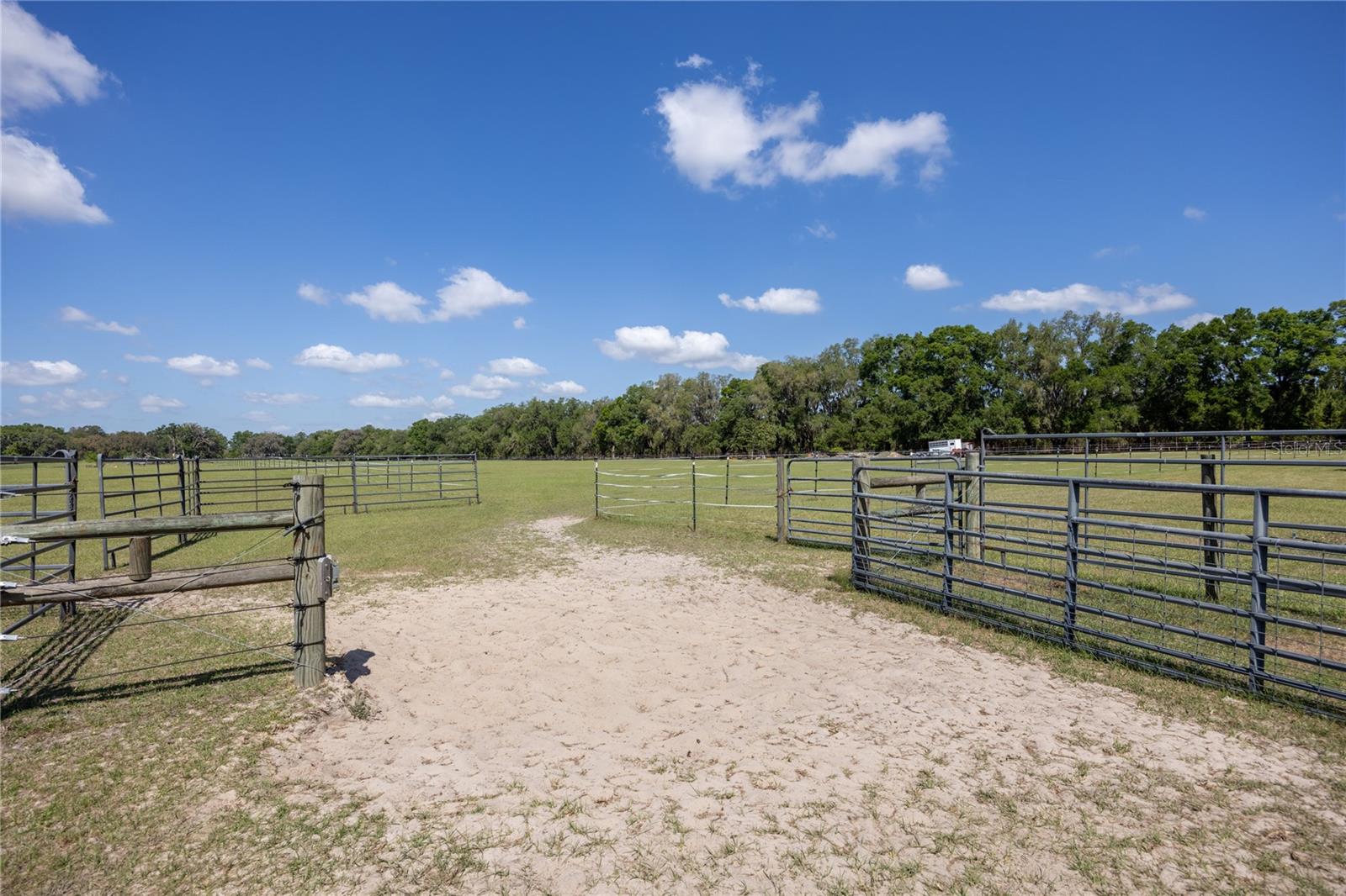 3019 SE 90TH AVE, NEWBERRY, FL, 32669