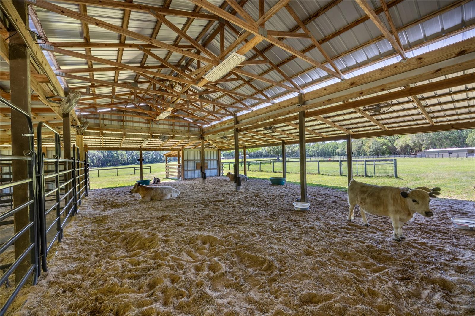 9004 NW 226TH ST, ALACHUA, FL, 32615