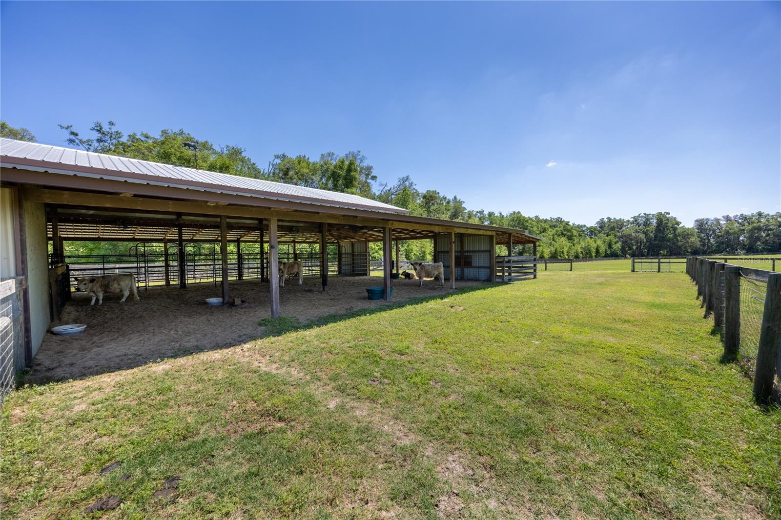 9004 NW 226TH ST, ALACHUA, FL, 32615