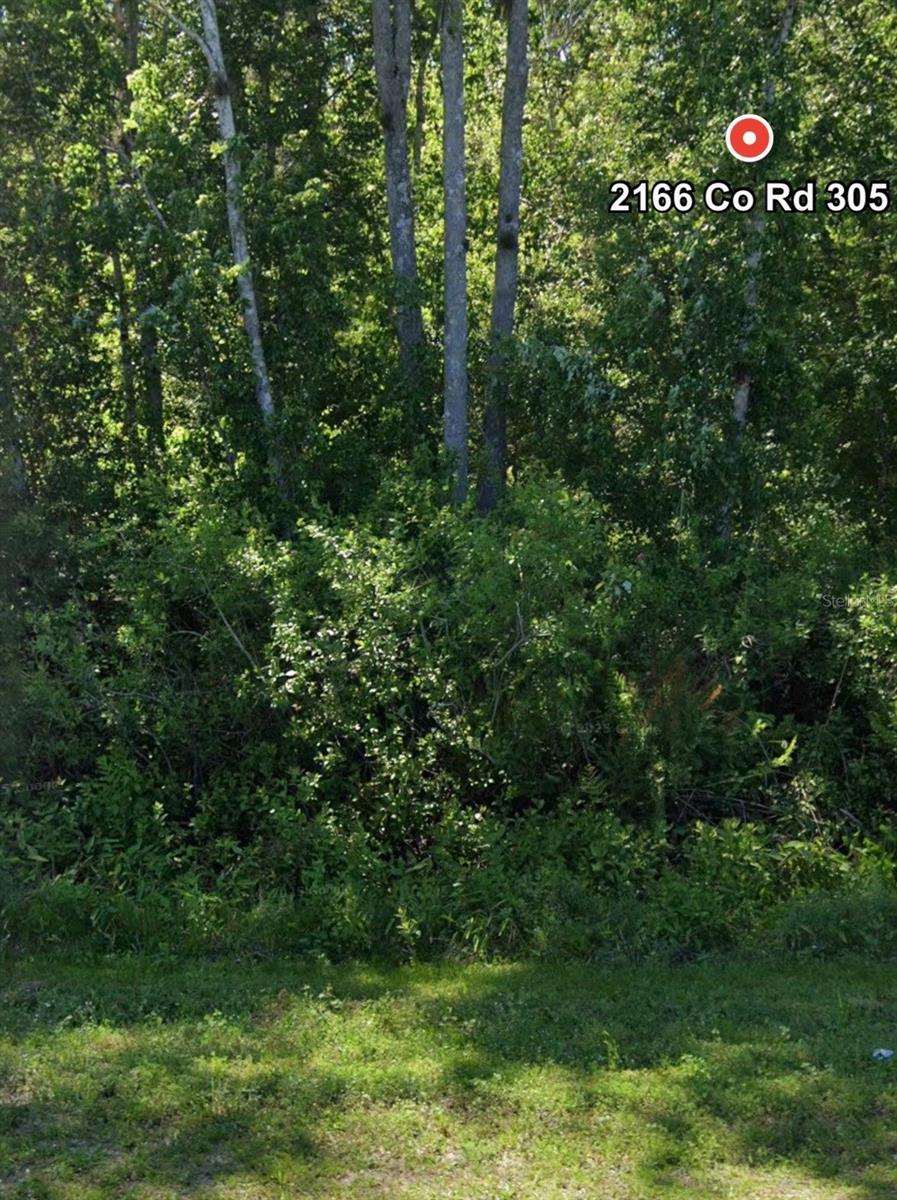 2166 CR-305, BUNNELL, FL, 32110