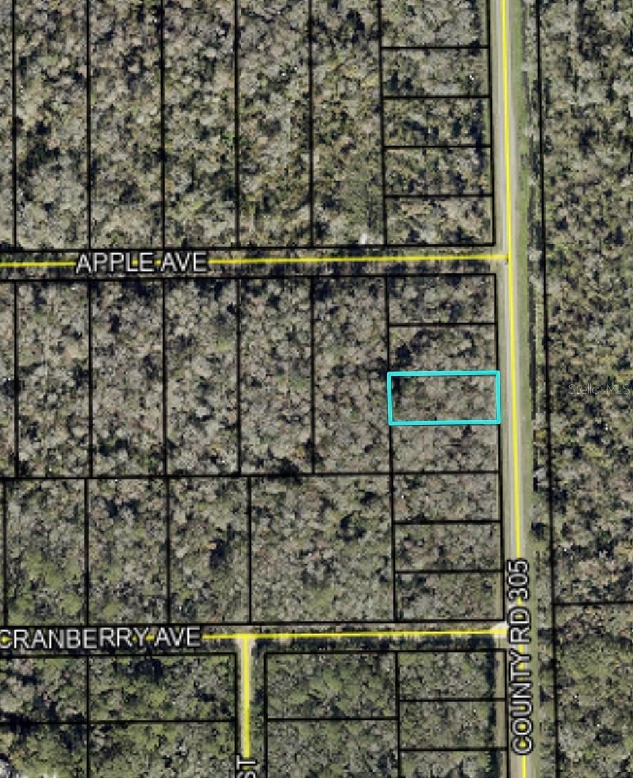 2166 CR-305, BUNNELL, FL, 32110