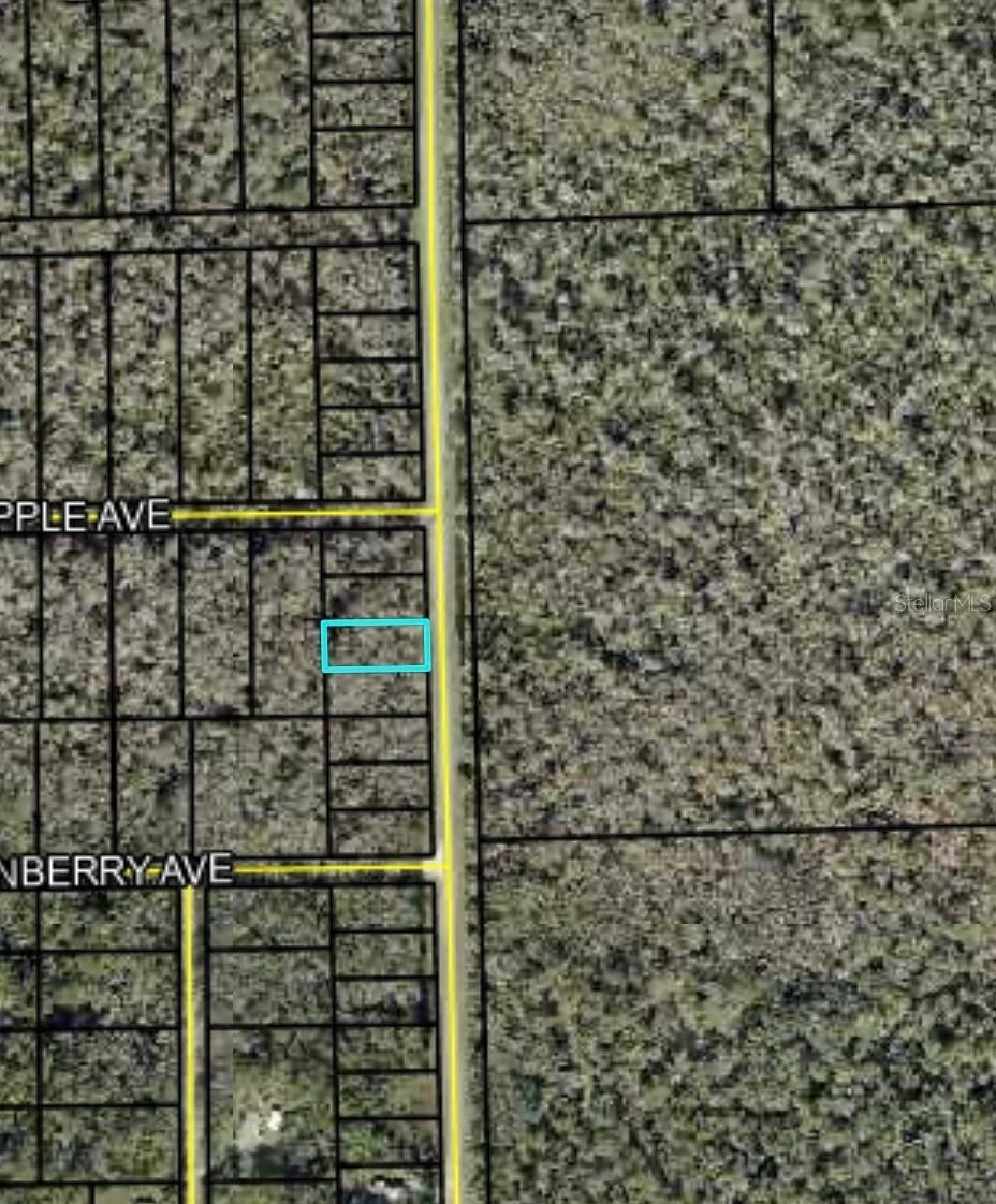 2166 CR-305, BUNNELL, FL, 32110