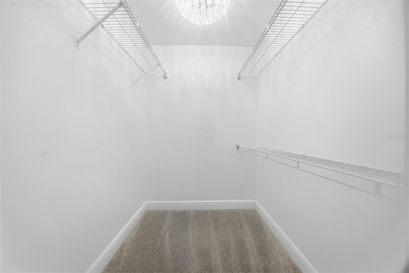 3331 MARION DR, PALM HARBOR, FL, 34684