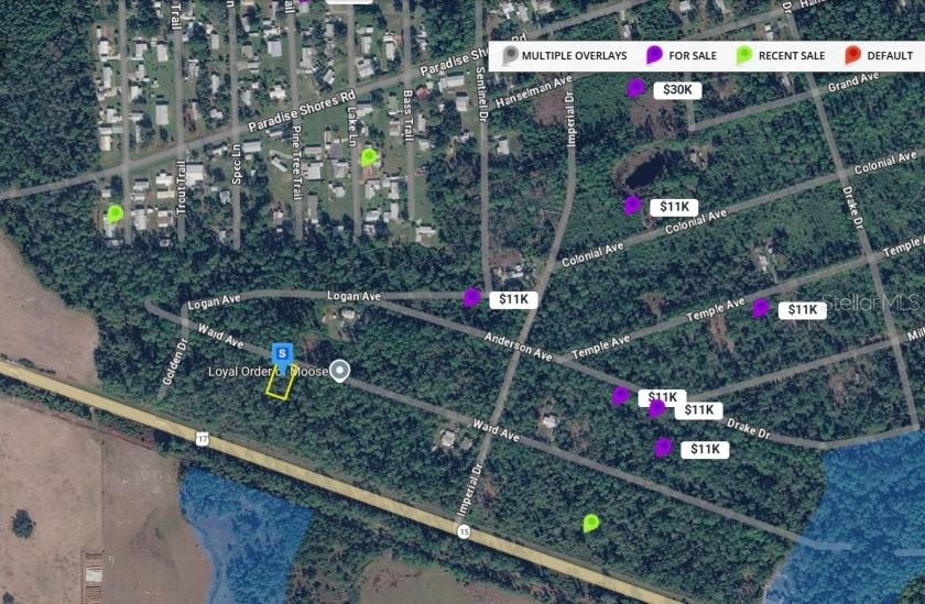 211 WARD AVE, CRESCENT CITY, FL, 32112