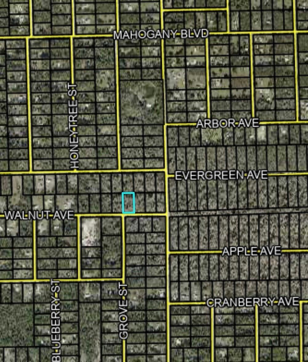 4062 WALNUT AVE, BUNNELL, FL, 32110