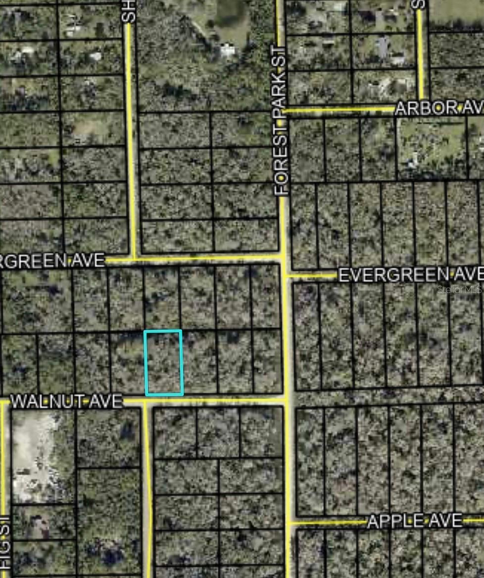 4062 WALNUT AVE, BUNNELL, FL, 32110