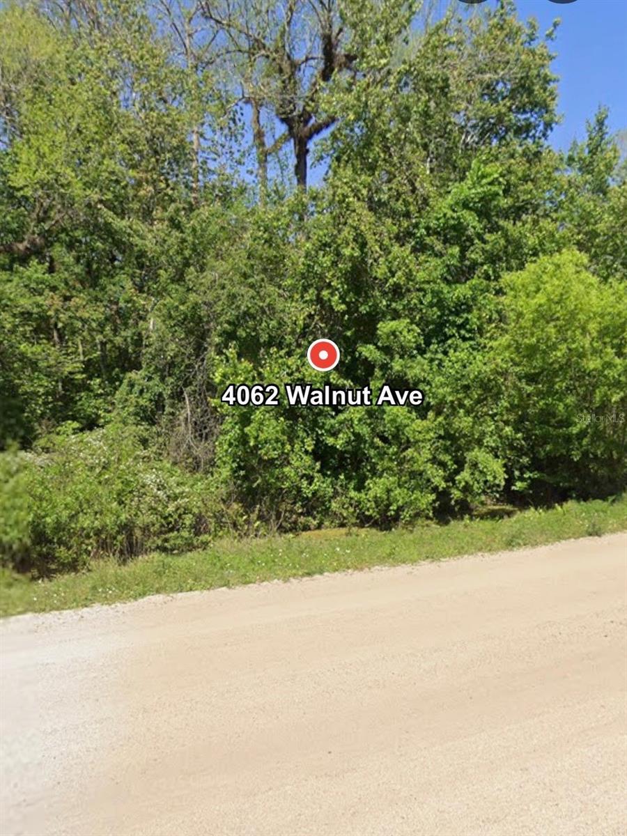 4062 WALNUT AVE, BUNNELL, FL, 32110