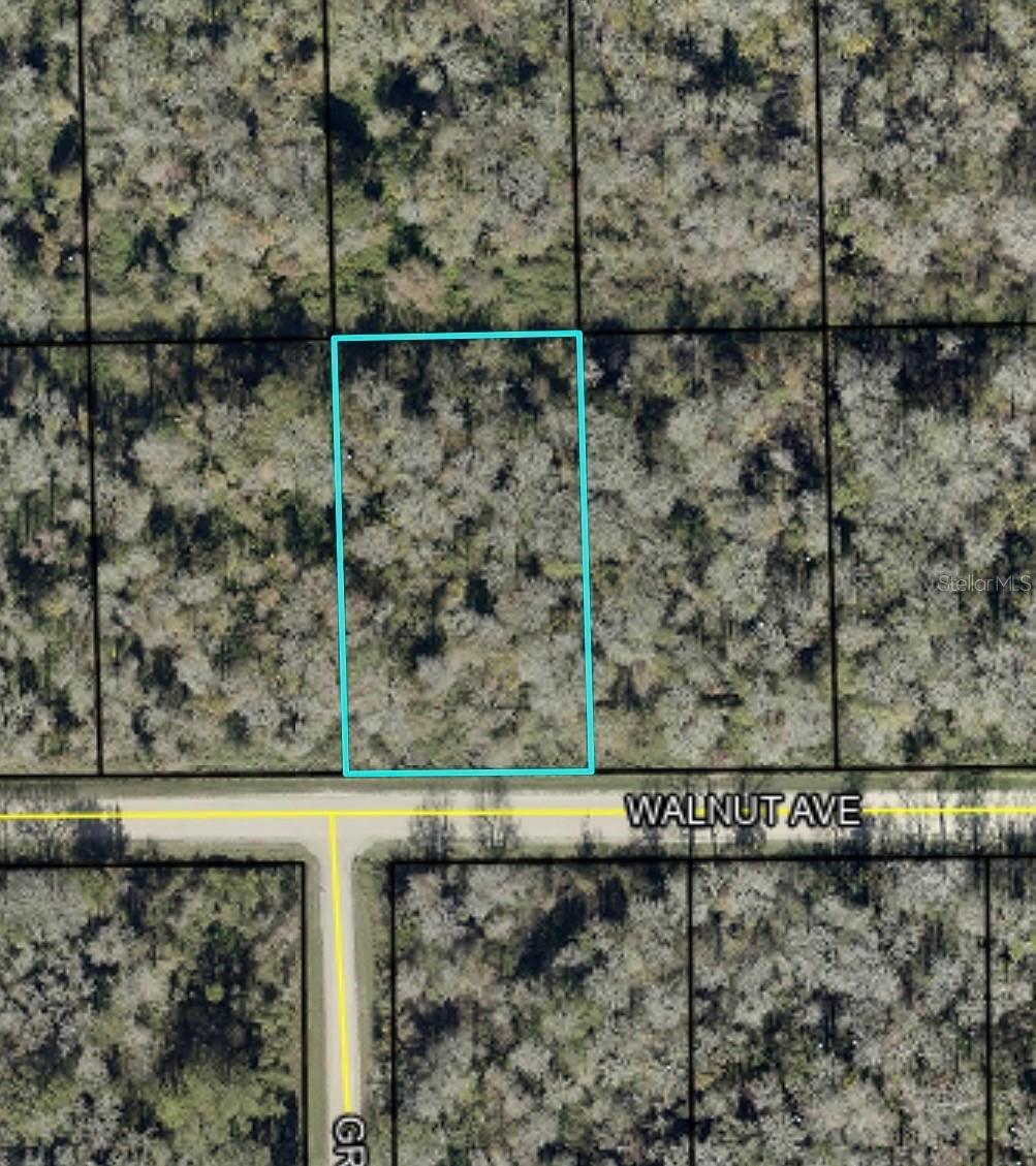 4062 WALNUT AVE, BUNNELL, FL, 32110