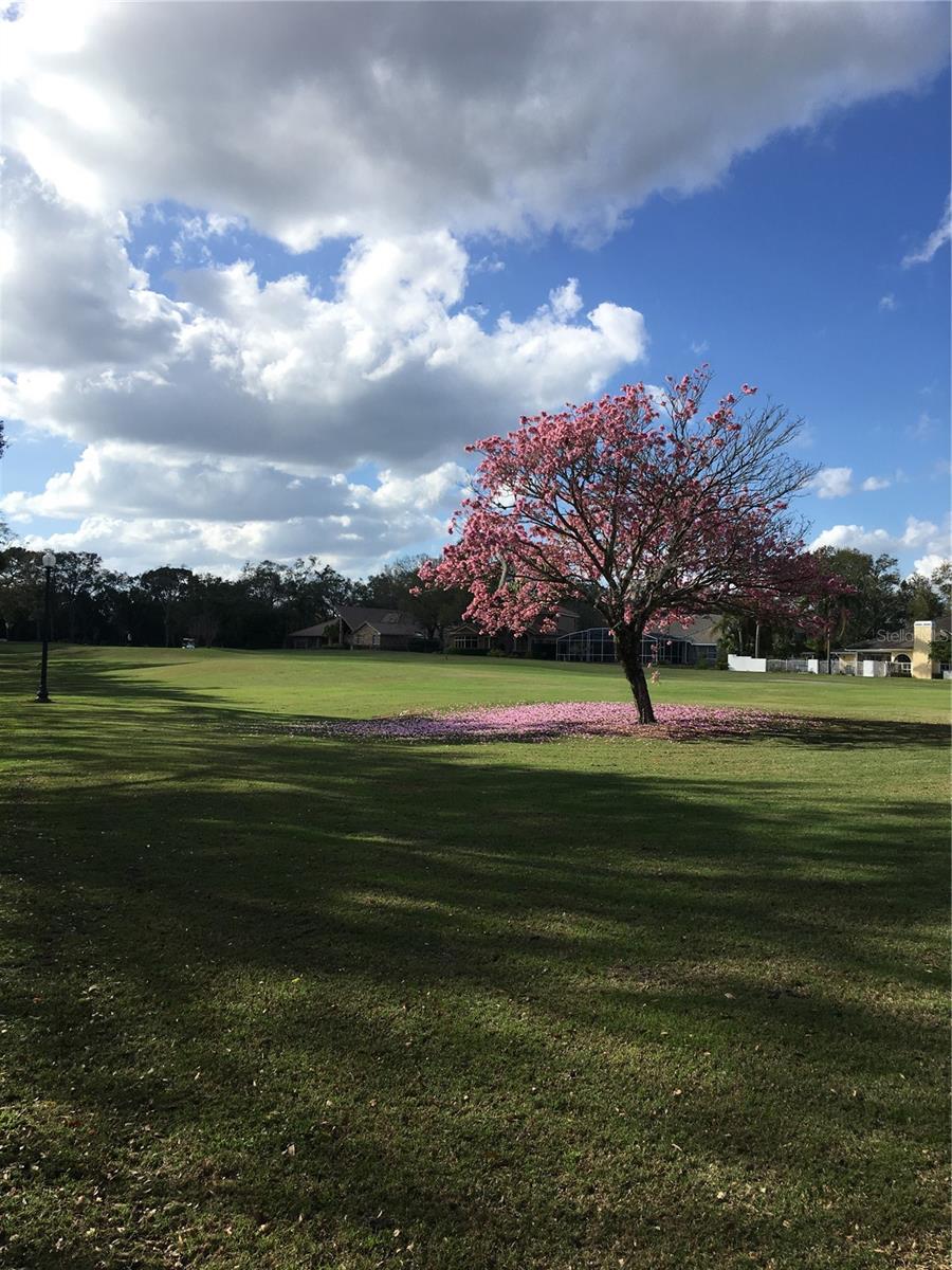501 DEVON PL, LAKE MARY, FL, 32746