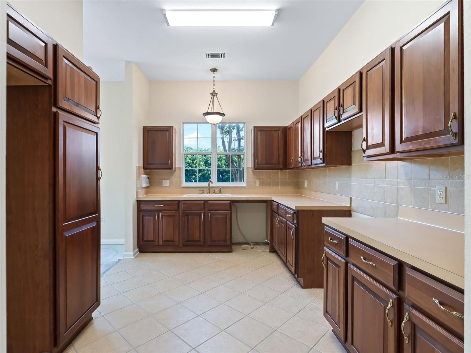 1256 AVENIDA DE LAS CASAS #1256, THE VILLAGES, FL, 32159