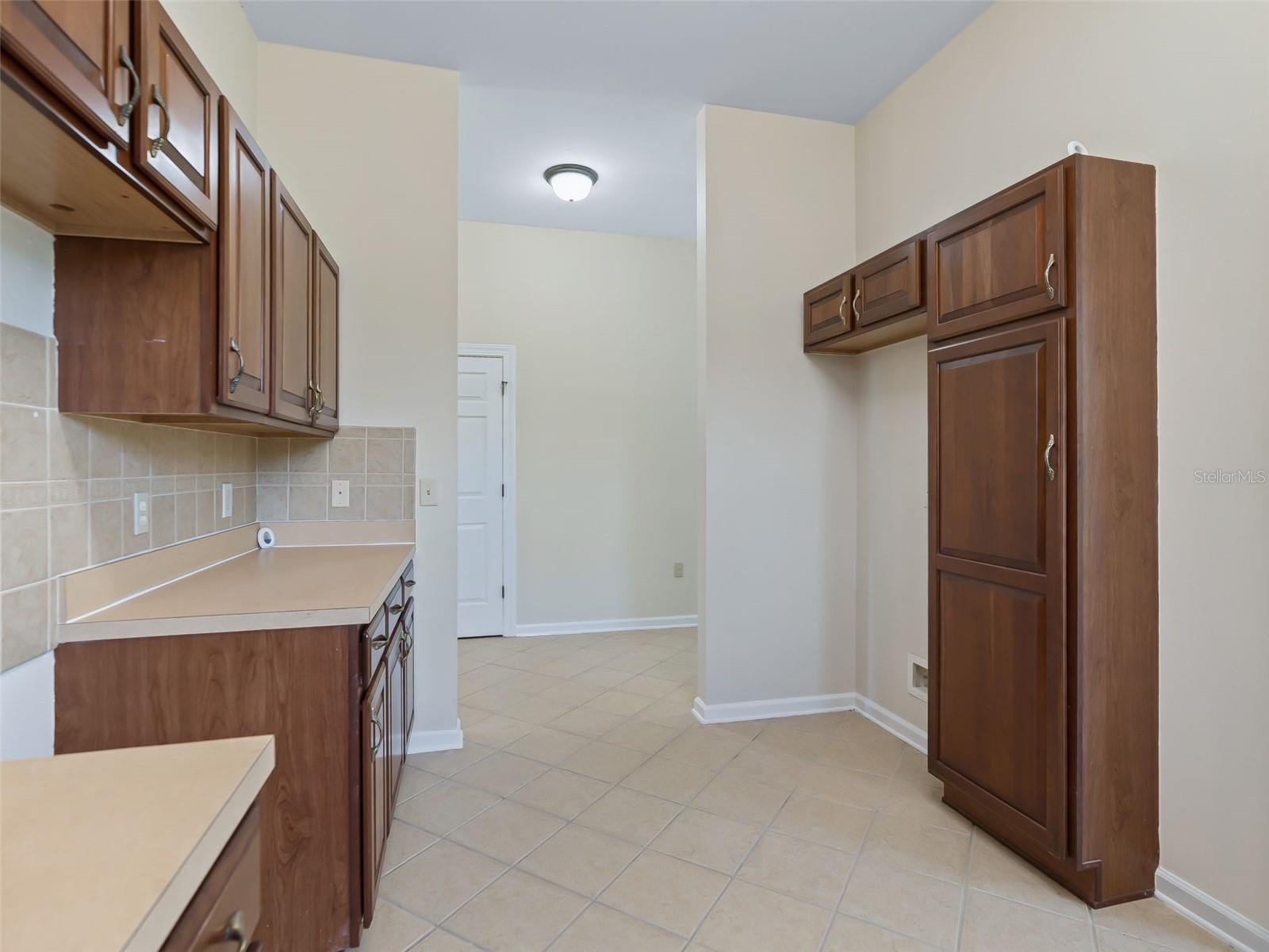 1256 AVENIDA DE LAS CASAS #1256, THE VILLAGES, FL, 32159