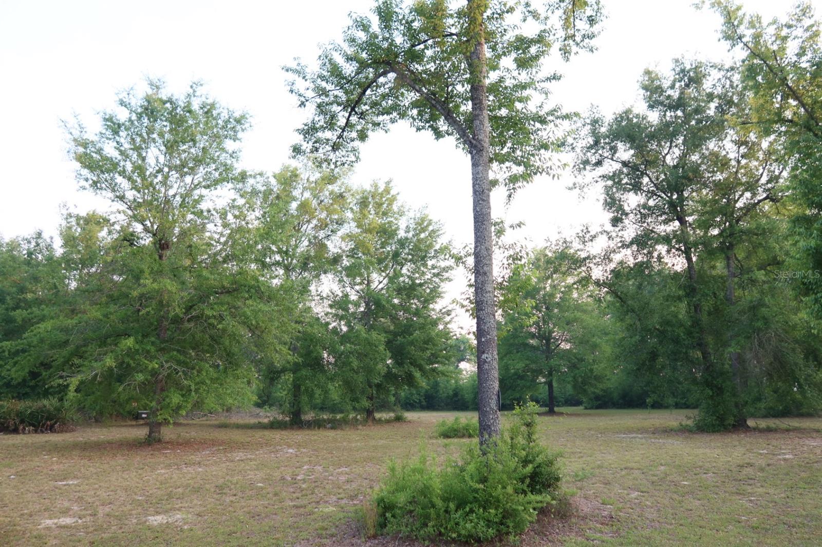 11533 E US 90, MADISON, FL, 32340