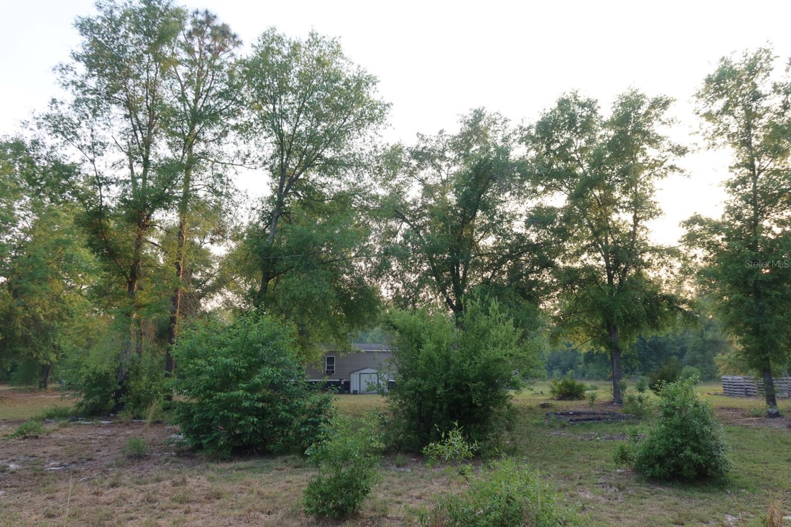 11533 E US 90, MADISON, FL, 32340