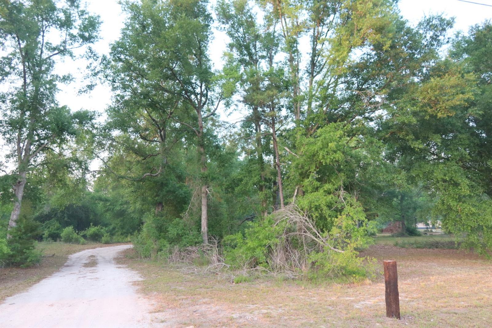 11533 E US 90, MADISON, FL, 32340