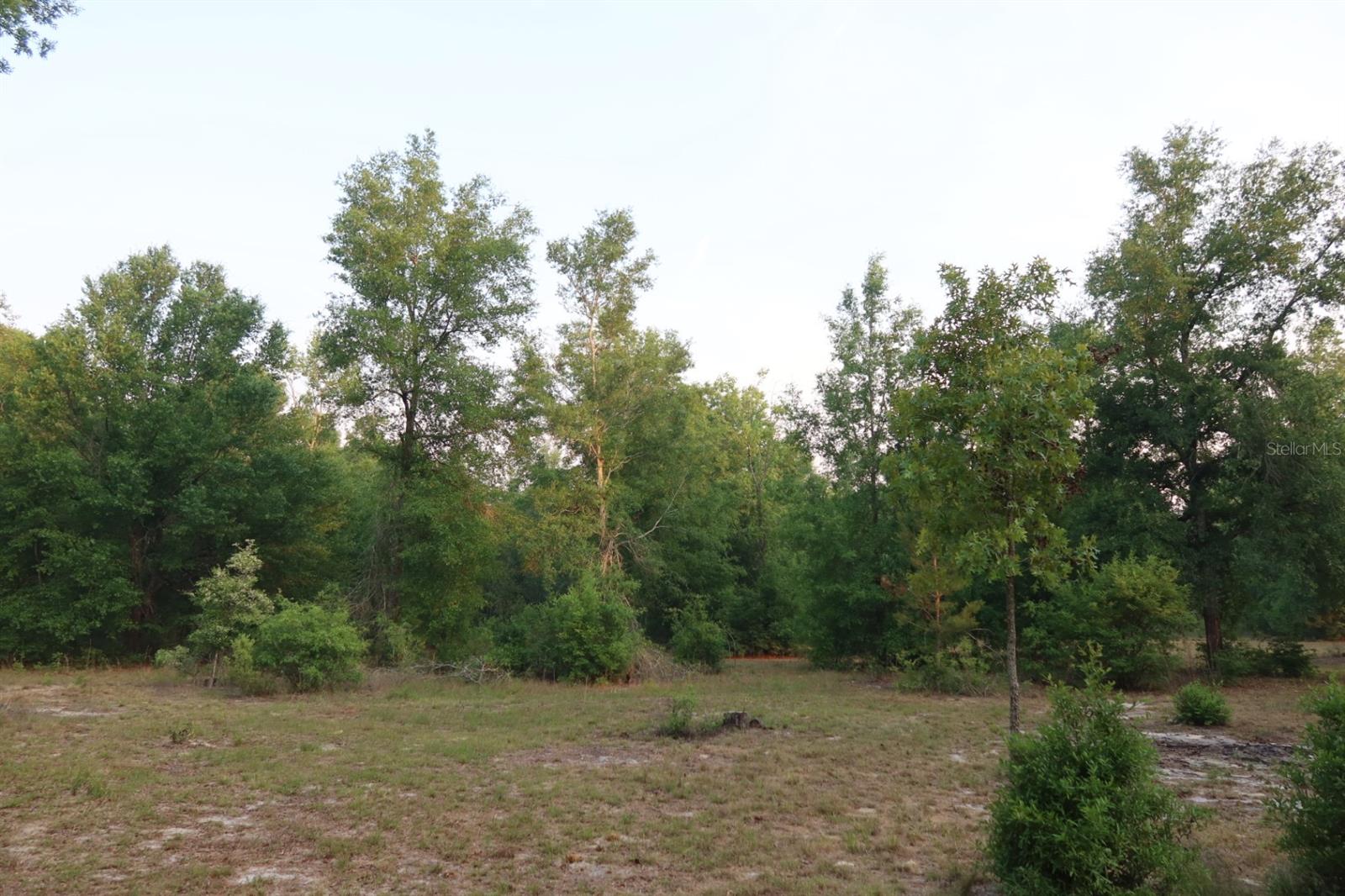 11533 E US 90, MADISON, FL, 32340