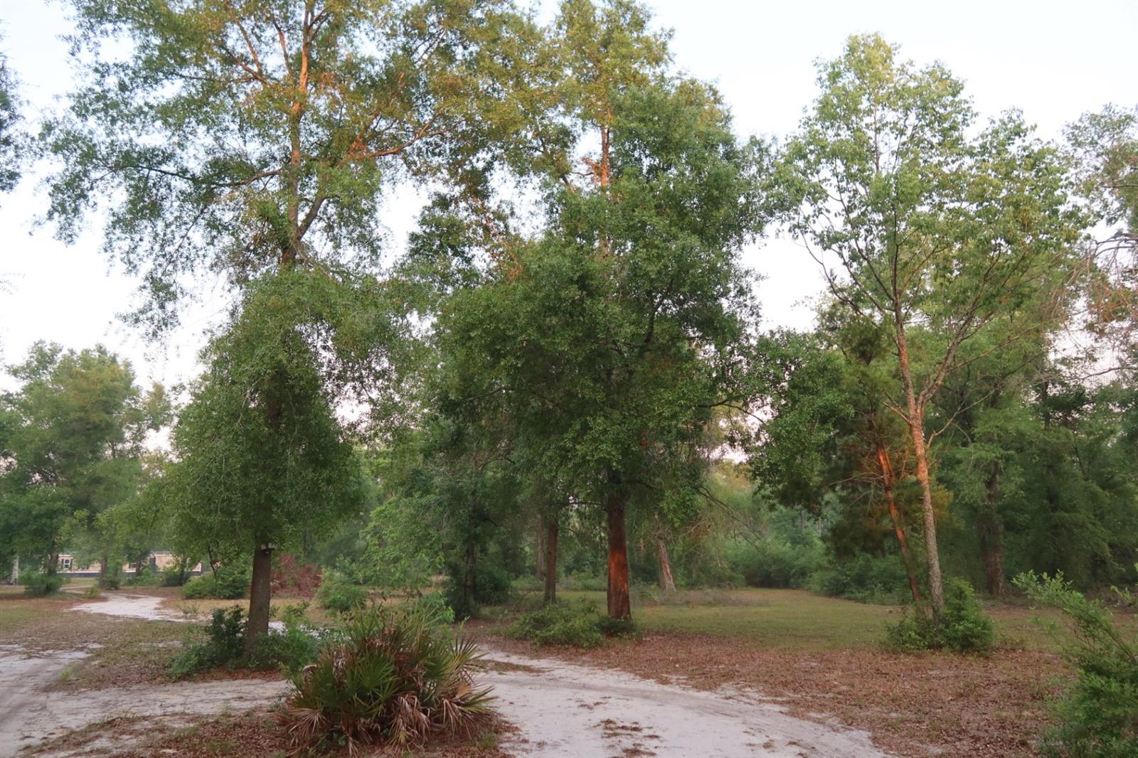 11533 E US 90, MADISON, FL, 32340