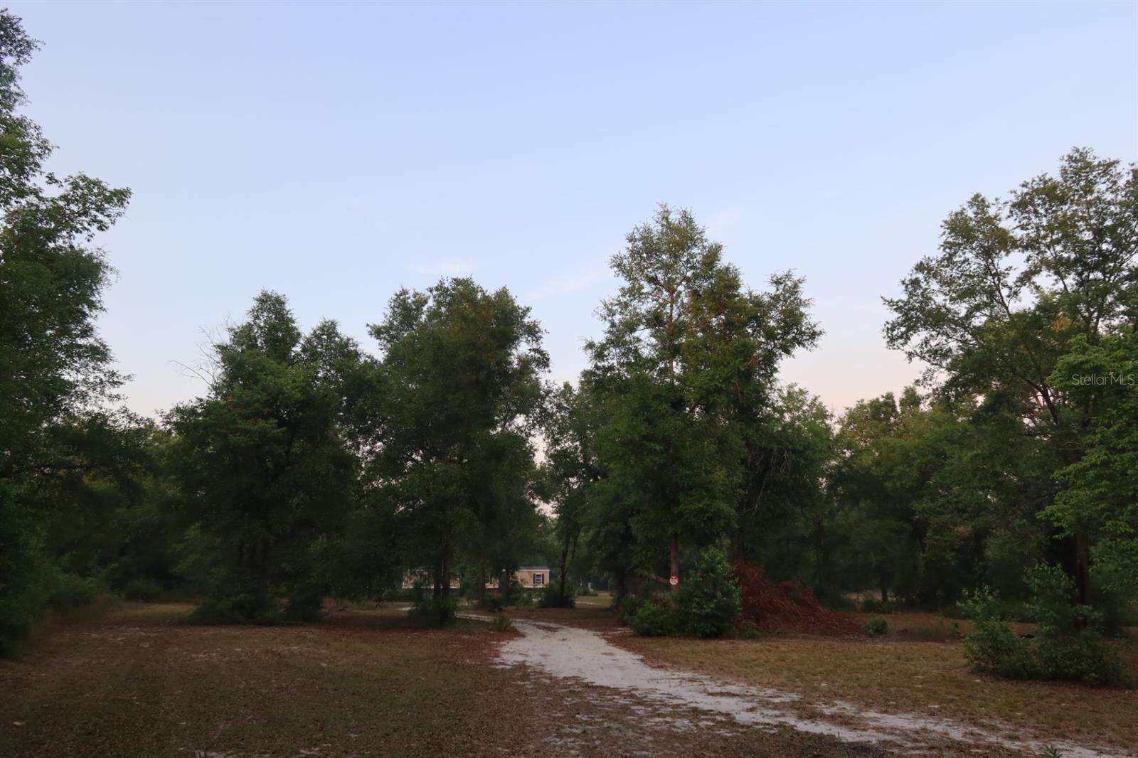 11533 E US 90, MADISON, FL, 32340