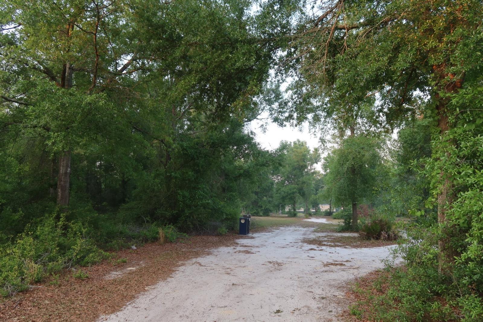 11533 E US 90, MADISON, FL, 32340