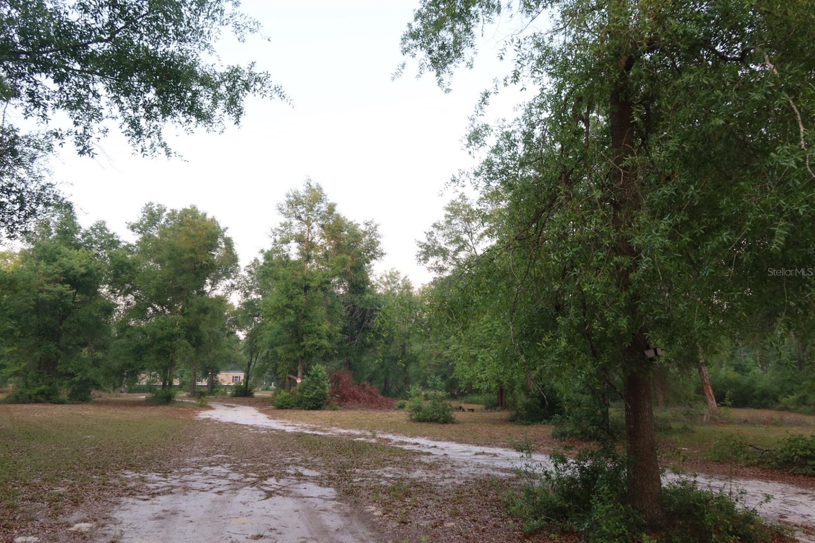 11533 E US 90, MADISON, FL, 32340