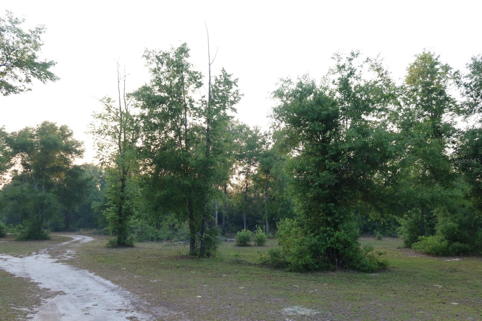 11533 E US 90, MADISON, FL, 32340