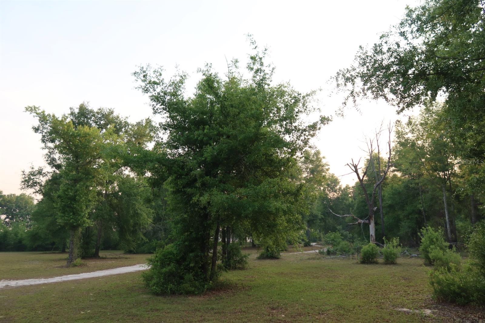 11533 E US 90, MADISON, FL, 32340