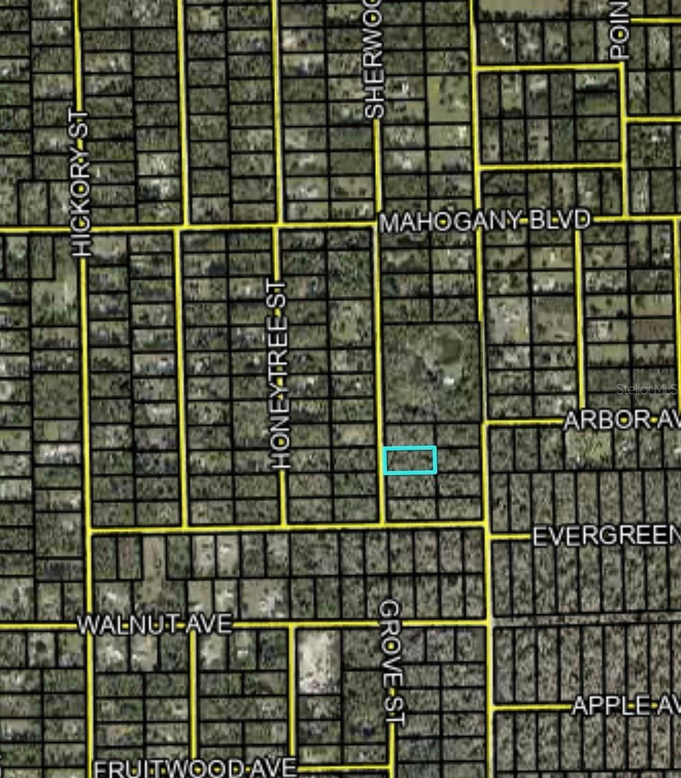 1795 SHERWOOD ST, BUNNELL, FL, 32110