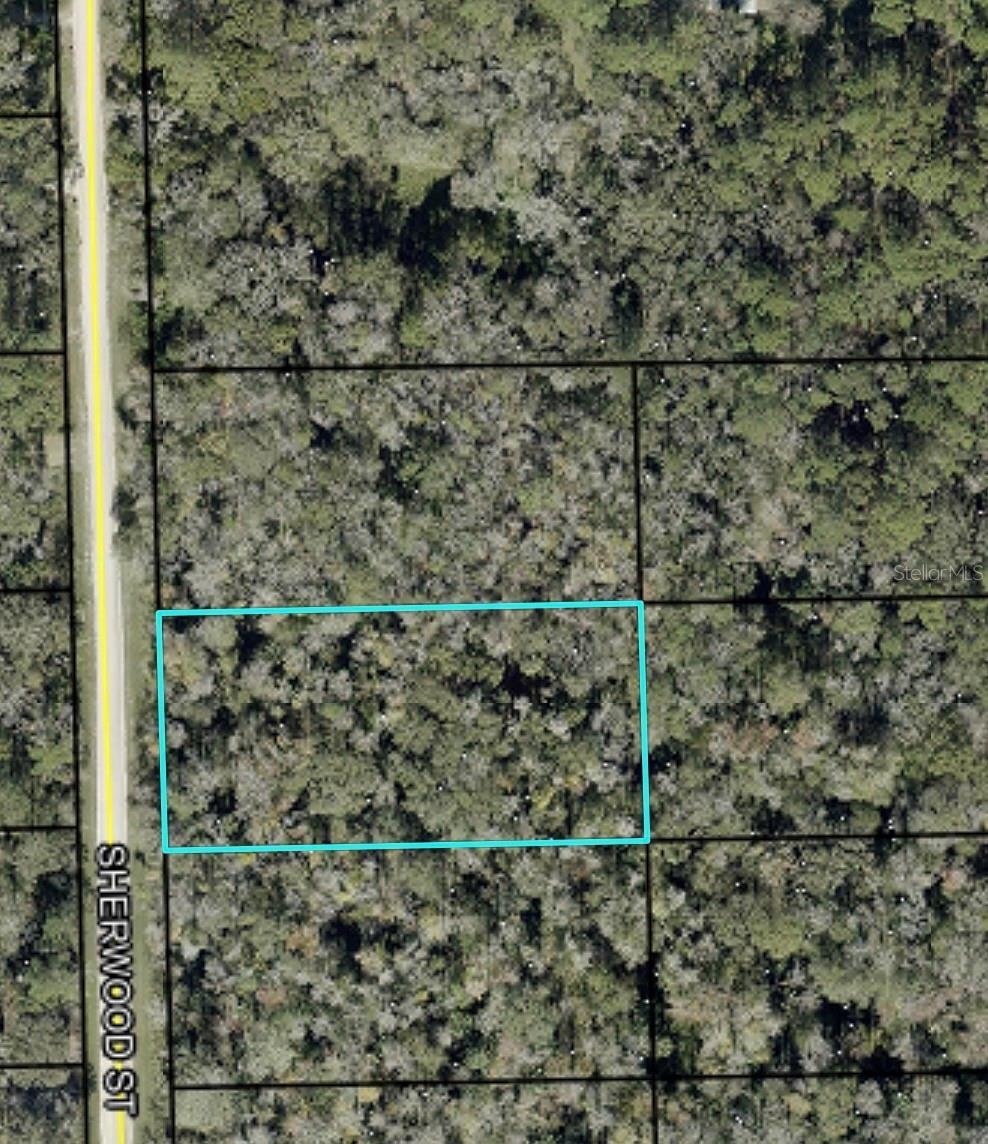 1795 SHERWOOD ST, BUNNELL, FL, 32110