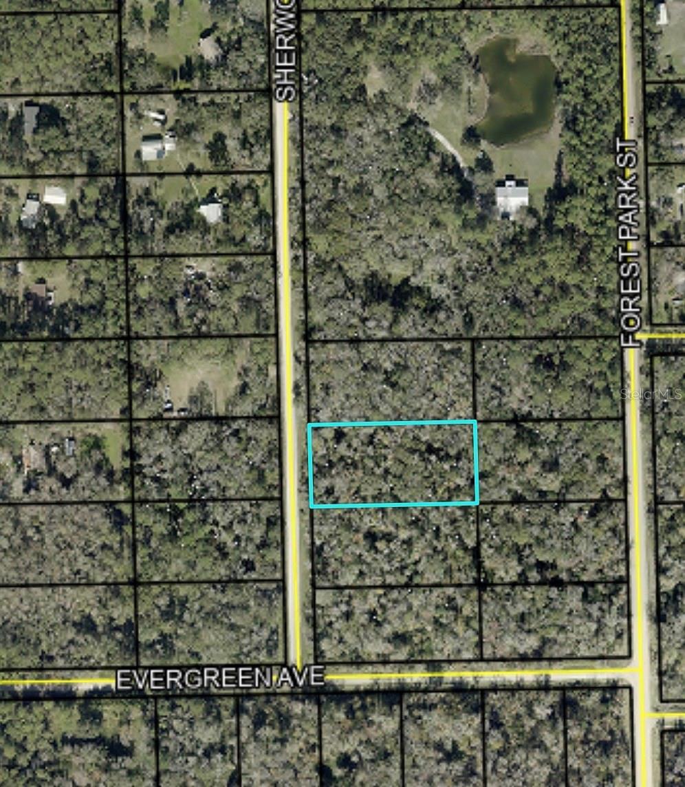 1795 SHERWOOD ST, BUNNELL, FL, 32110