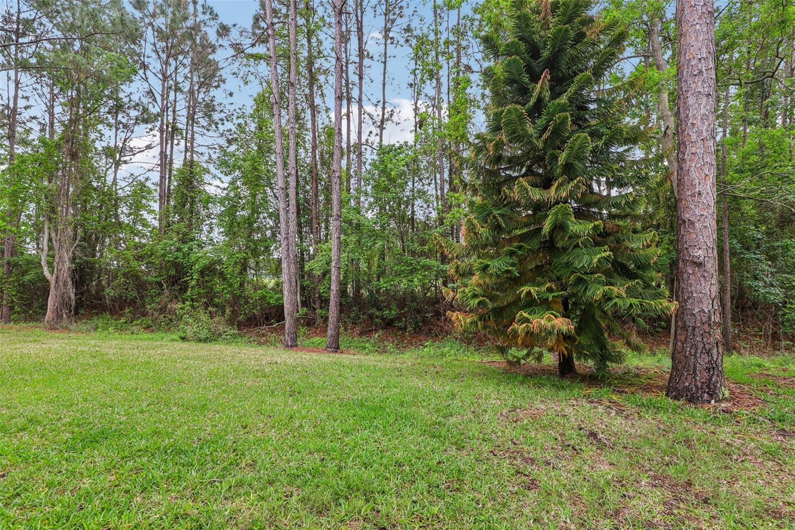 155 LEGENDARY DR #302, ST AUGUSTINE, FL, 32092