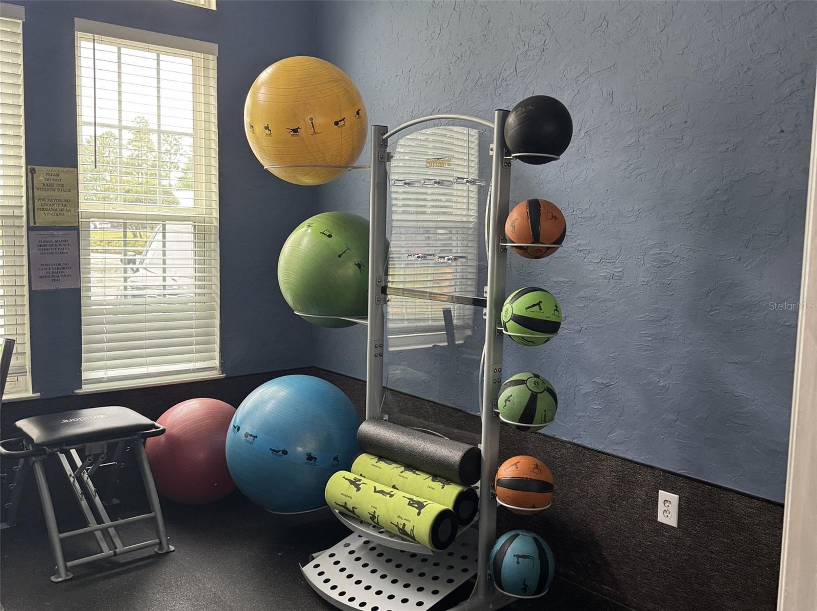 5483 VINELAND RD #10201, ORLANDO, FL, 32811