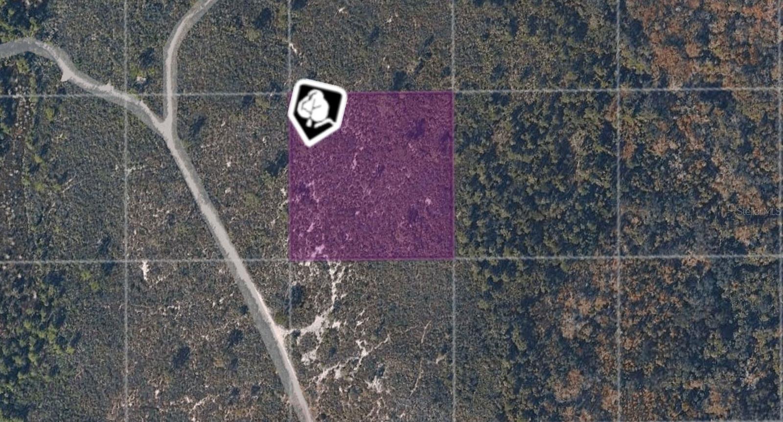 TBD COUNTY ROAD, OAK HILL, FL, 32759