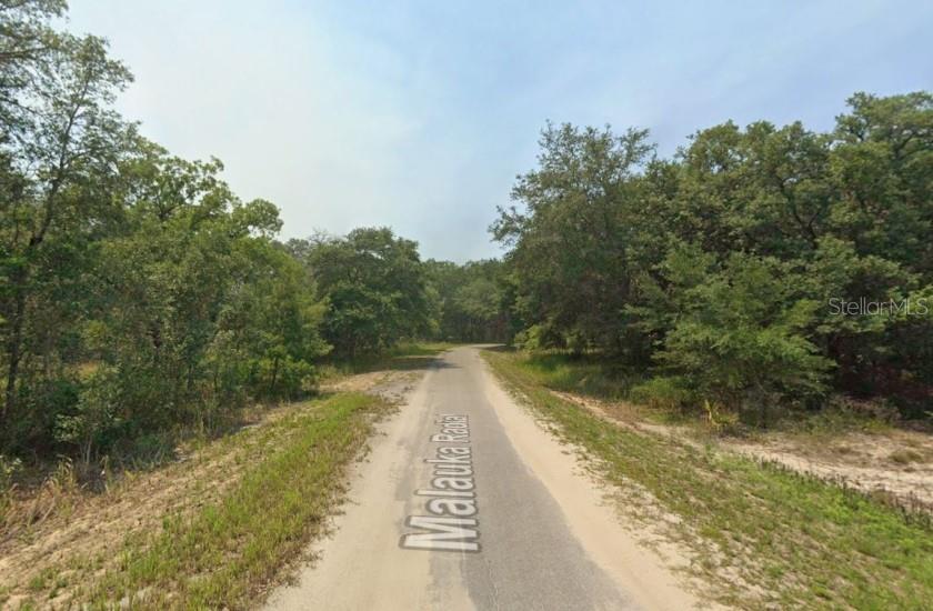 MALAUKA RADIAL, OCKLAWAHA, FL, 32179