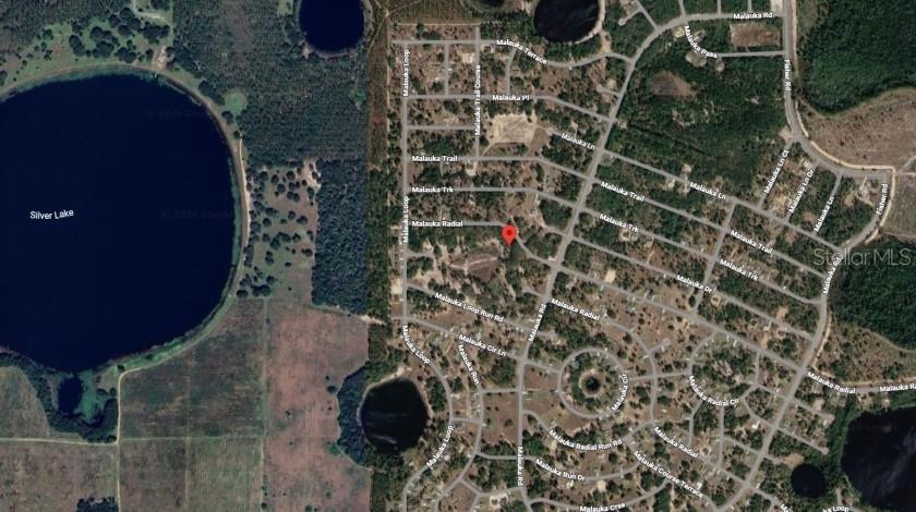 MALAUKA RADIAL, OCKLAWAHA, FL, 32179